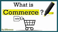 What is Commerce? | Characteristics, Functions and Classification