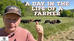 A DAY In The Life Of A Farmer