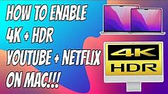 How to watch YouTube 4K HDR + Netflix Dolby Vision On Mac Built in Display Fix!!