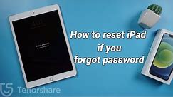 How to Reset iPad if You Forgot Password
