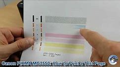 Canon Pixma MG3550: How to Print a Nozzle Check Test Page