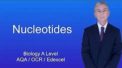 A Level Biology Revision "Nucleotides"