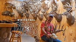 Whitetail Cribs: A Privately Owned Collection of 32 of the BIGGEST WHITETAILS to EVER Live!