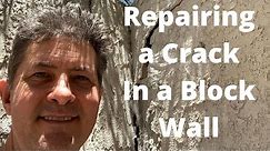 Repairing a Crack In a Block Wall