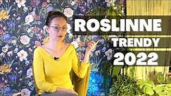 Roślinne trendy 2022 🌱 Jakie rośliny i dekoracje roślinne będą modne w 2022 roku ? 🌱