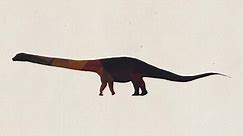 Meet the biggest dinosaur ever to walk the Earth
