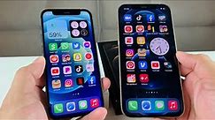 iPhone 12 Pro vs iPhone 12 Mini Review: Full Comparison!