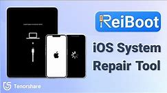 Tenorshare ReiBoot - World NO.1 iOS System Repair Tool (Fix without Data Loss)