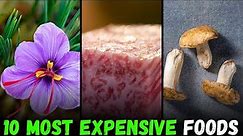 10 Most Expensive Food in The World | Most Expensive things