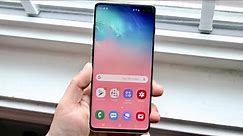 Samsung Galaxy S10+ In 2020! (One Year Later) (Review)