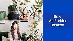 Briiv Air Purifier Review