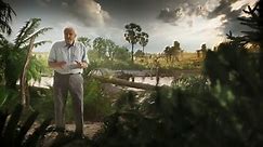 Sir David Attenborough 2022 - Dinosaurs - The Final Day - HD