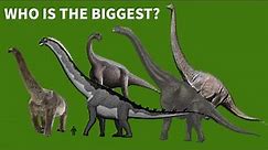 The Biggest Dinosaurs Of All Time | Biggest Dinosaurs In The World