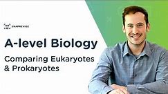 Comparing Eukaryotes & Prokaryotes | A-level Biology | OCR, AQA, Edexcel