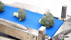 Trayless packaging of a wide range of vegetables in a flow pack machine (HFFS)