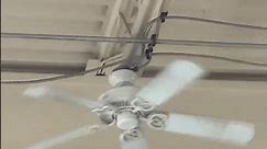 Wobbly ceiling fan #101