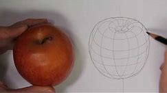 Drawing an apple with cross contour lines