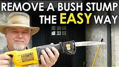 The EASY Way to Remove a Bush Stump || Black Gumbo