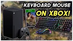 Keyboard and Mouse Gameplay ON XBOX! Age of Empires 4