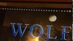 Wolf Films/NBC Universal Television Studio (2004)
