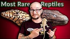 Top 5 RAREST & MOST EXPENSIVE Reptiles In The World