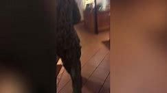Sister Sobs Happy Tears In Restaurant When Military Brother Surprises Her