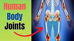 6 Types of Joints found in the Human Body