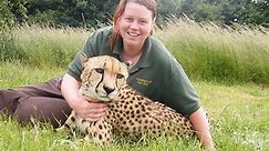 Tiger kills zookeeper in England zoo