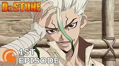 Dr. STONE Ep. 1 | Stone World