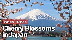 When to See Cherry Blossoms in Japan | japan-guide.com