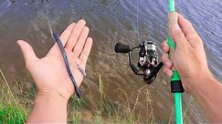 Catch 10x MORE Fish Using A Dropshot (Bass Fishing Tips)