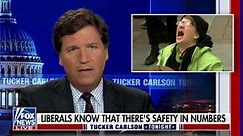 Tucker: You can't have guns, but faithful servants of the Democratic Party can!