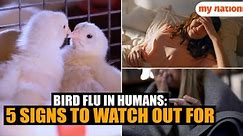 Bird Flu in humans: 5 signs to watch out for