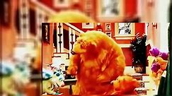 Bear in the Big Blue House - Bears Birthday Bash - Dailymotion Video