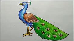 how to draw a peacock step by step,easy peacock drawing,how to draw a peacock by oil pastel color