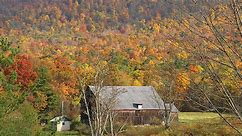Fall Foliage Forecast: Oct. 26, 2023