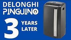 3 Years with the Delonghi Pinguino Portable Air Conditioner - Pros, Cons & Why a Portable AC