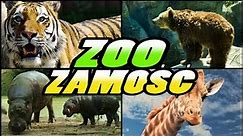 ZOO Zamość - Ogród Zoologiczny im. Stefana Milera || Zamość - Poland |4k|