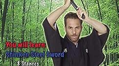 Dana Abbott's Beginner's Guide to Japanese Sword Volume 2