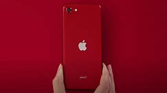 Cấu hình iPhone SE 2020 chi tiết, iPhone SE có tốt không? Có nên mua? - Thegioididong.com