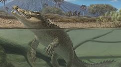 The Paleoafrican Crocodiles: The Crocodilians That Ate Our Ancestors