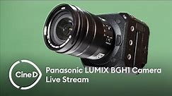 Panasonic LUMIX BGH1 Camera - Live Stream (Recording)