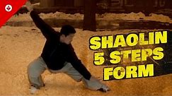 Shaolin Five Steps 五步拳 | FIRST FORM You Should Learn | Shaolin Kung Fu Basics