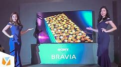 Sony BRAVIA A9G MASTER Series 4K OLED TV First Look