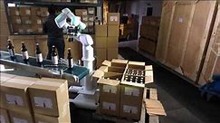 Application Showcase: Automated Bottle Packing with OB7 Robot