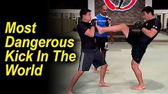 The Most Dangerous Kick In The World (Karate Front Kick) by Former UFC Champion - Lyoto Machida