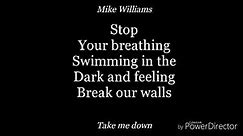 Take me down-lyrics-Mike williams