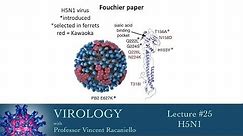 Virology 2014 lecture #25 - H5N1