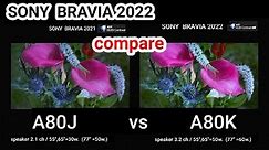 SONY A80K vs A80J #compare