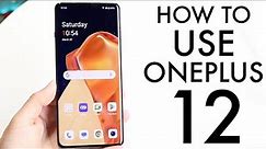 How To Use OnePlus 12! (Complete Beginners Guide)